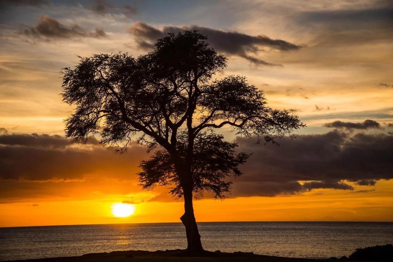 Ko Olina Beach Villas O414 Kapolei Lägenhet